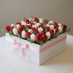 Red and white tulips in 20261006164114
